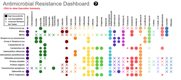 Resistance Dashboard showing a crossable with antibiotics and bacteria