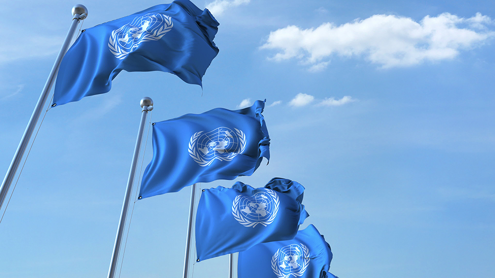 Reflections from the week of the UN High-Level Meeting on AMR in New ...